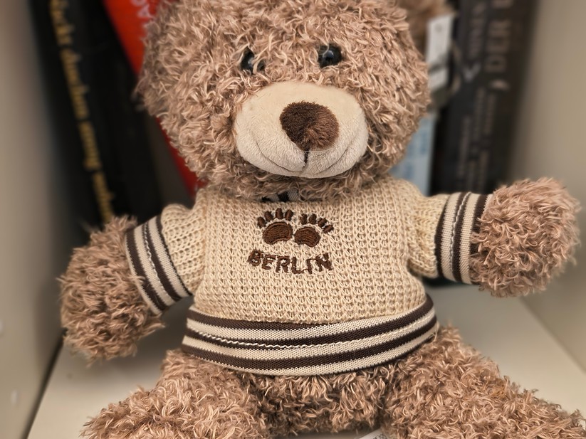 Motorola Razr 60 - Originalaufnahmen