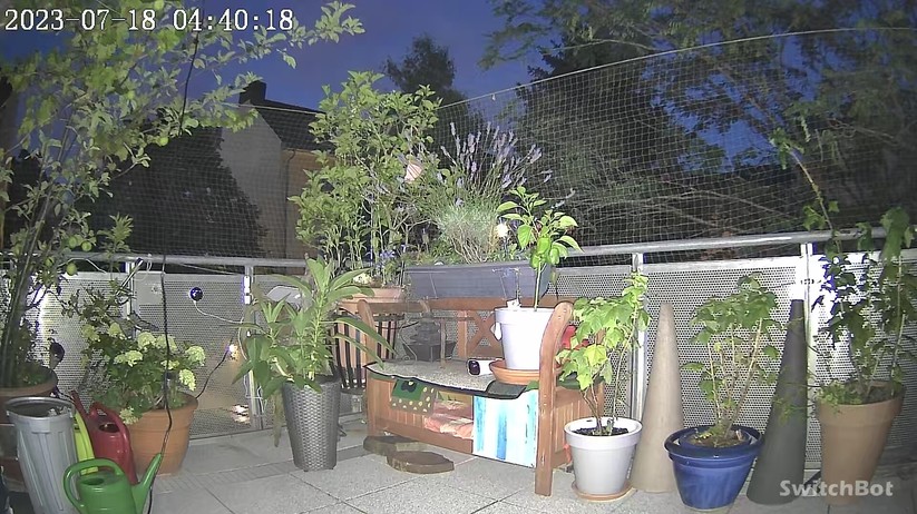 Switchbot Outdoor Spotlight Cam: Nachtaufnahme in Farbe mit aktiviertem Spotlight