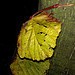 Testfoto geschossen mit einem HTC Sensation XE | BestBoyZ