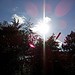 Testfoto geschossen mit einem Samsung GT-P7100 Galaxy Tab 10.1v | BestBoyZ