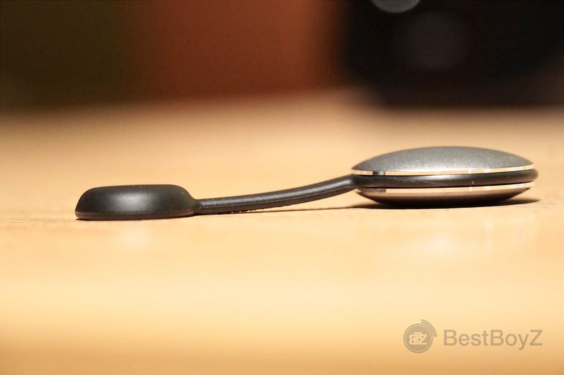 Misfit Shine mit dem Clasp
