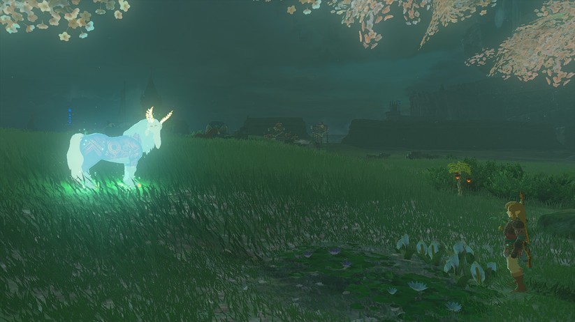  Tears of the Kingdom (Switch)