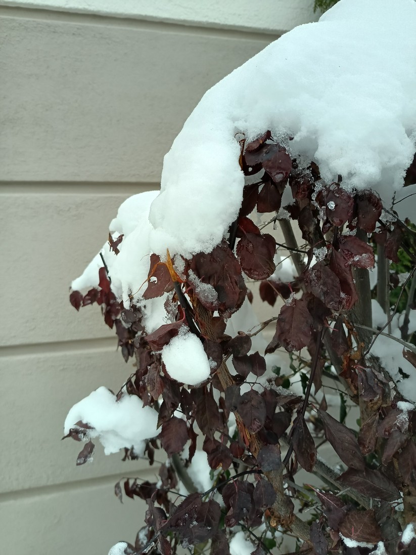 Blackview A200 Pro - Originalaufnahmen