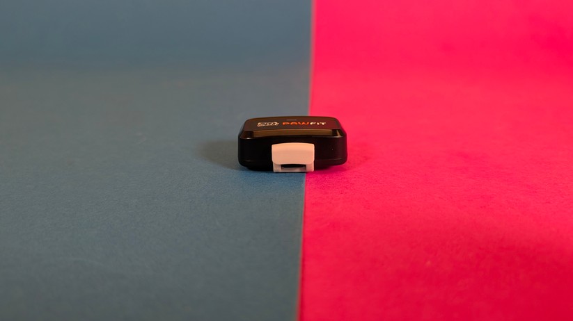 Pawfit Lite – Bilderstrecke