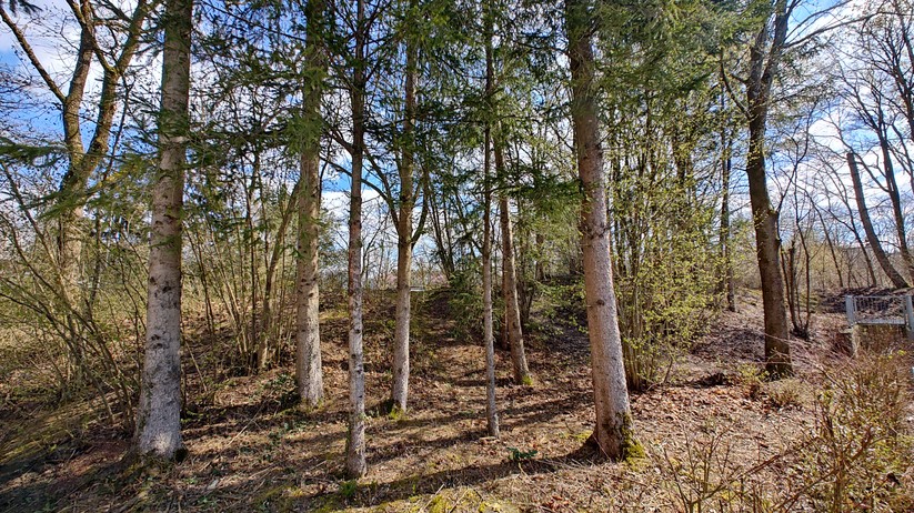 Motorola Edge 40 Pro - Originalaufnahmen