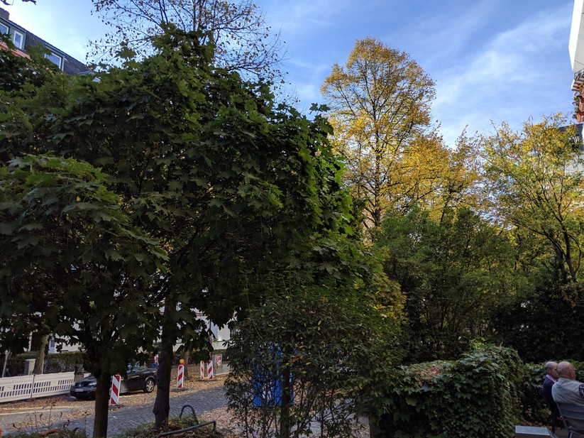 Aufnahme bei Tageslicht