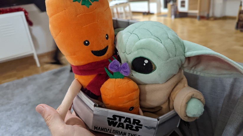 Google Pixel 6 Pro Fotos