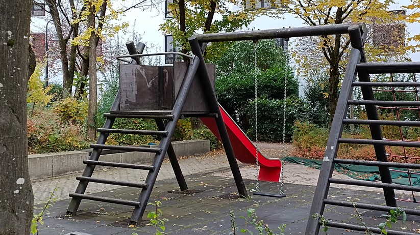 Fotos mit dem Vivo Y72 5G