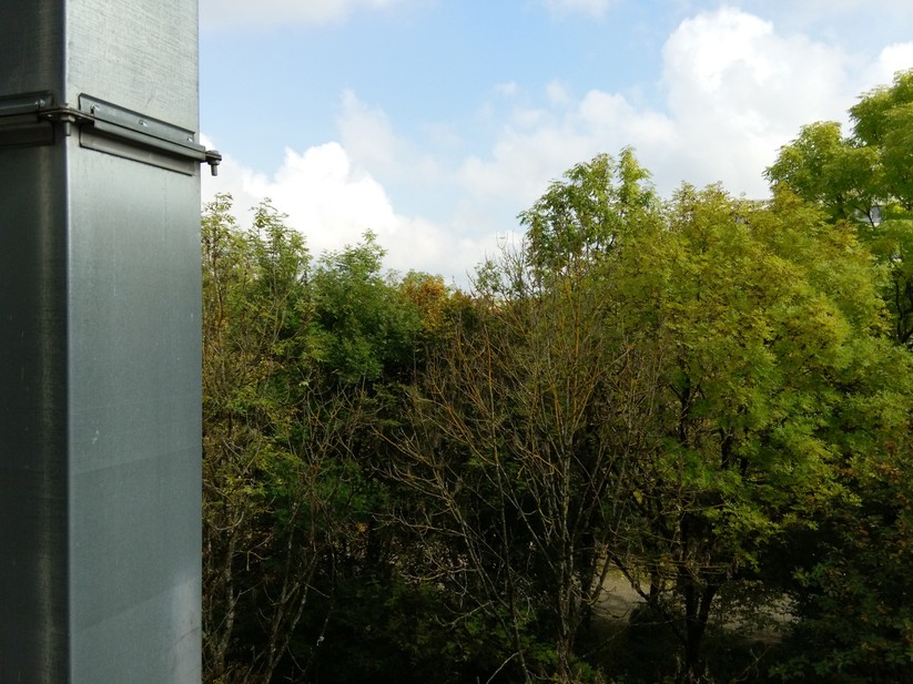Amazon Fire Phone: Tageslicht-Foto