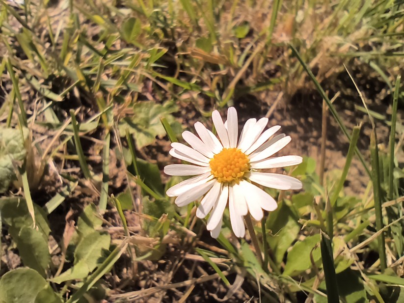 Oukitel WP100 Titan - Originalaufnahmen 