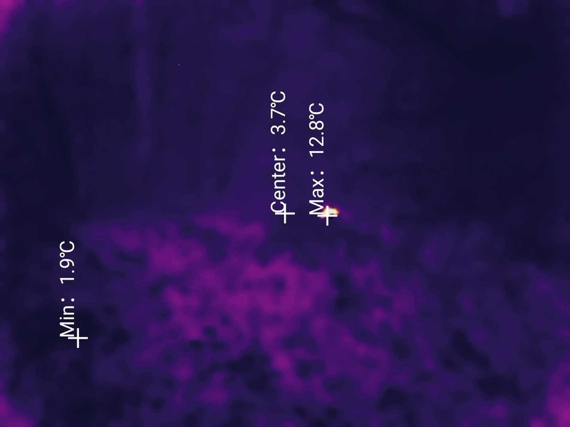 AGM Glory G1S - Wärmebildaufnahme 