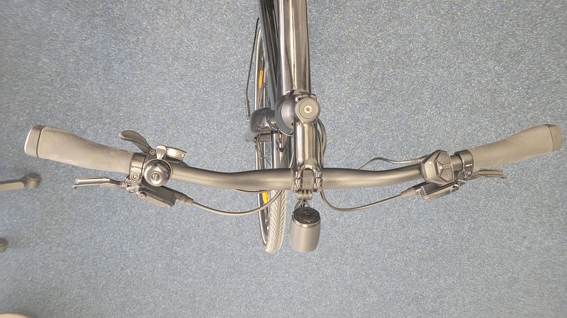 Diamant 365: Leicht, gut verarbeitet, 9-Gang-Schaltung, begrenzte Reichweite