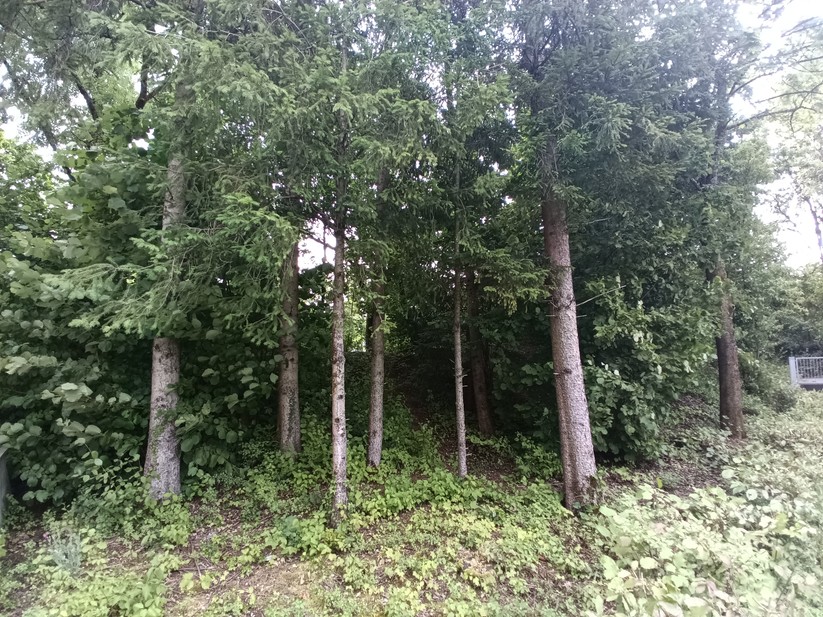 Blackview BV 9200 - Originalaufnahmen 