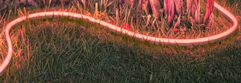 Smarte Gartenbeleuchtung: Philips Hue, Ledvance & Co