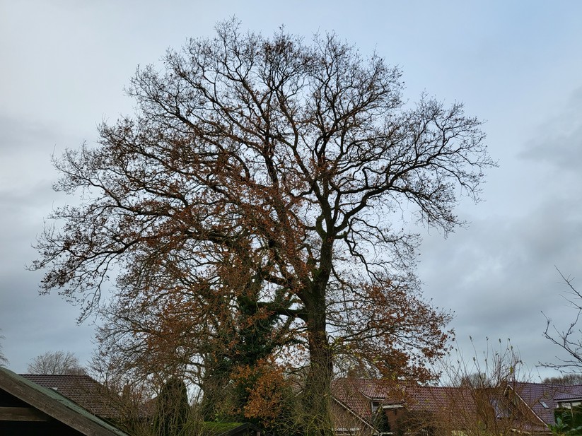 Samsung Galaxy Z Flip 3 5G