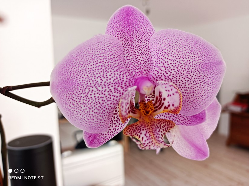 Xiaomi Redmi Note 9T