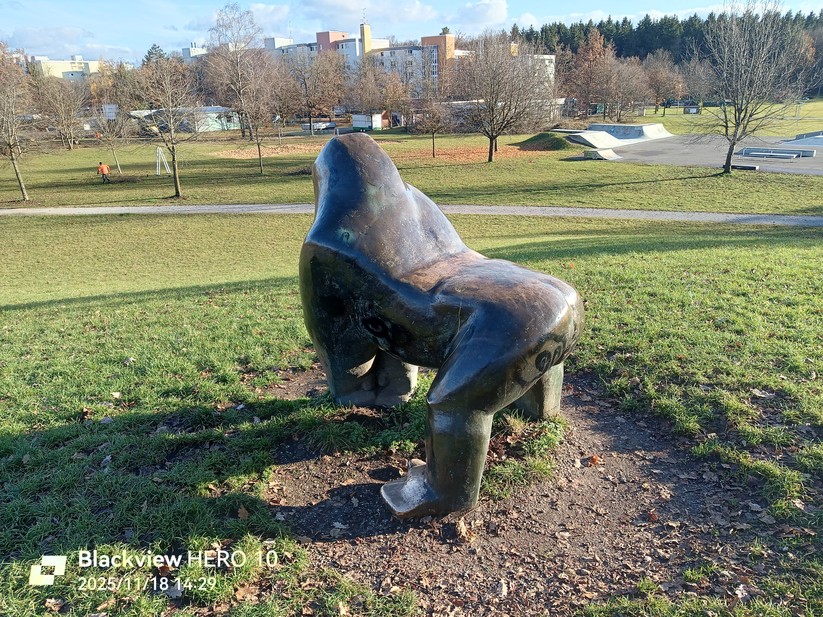 Blackview Hero 10 - Originalaufnahmen