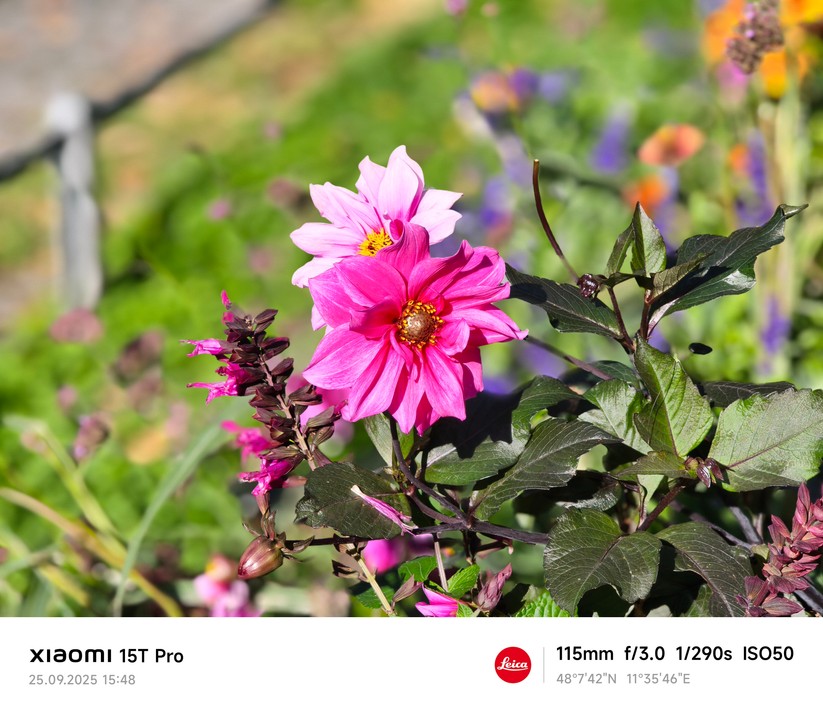 Xiaomi 15T Pro - Originalaufnahmen