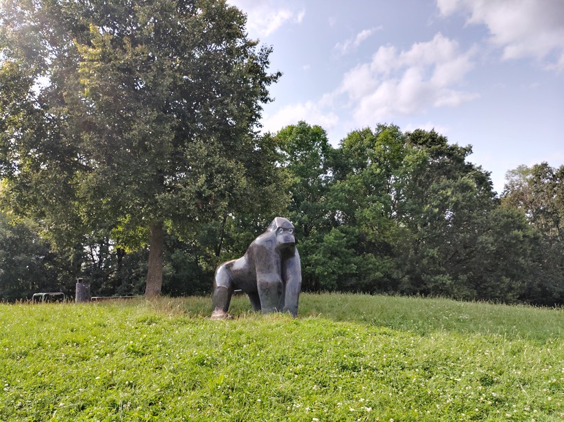 T Phone 2 Pro - Originalaufnahmen