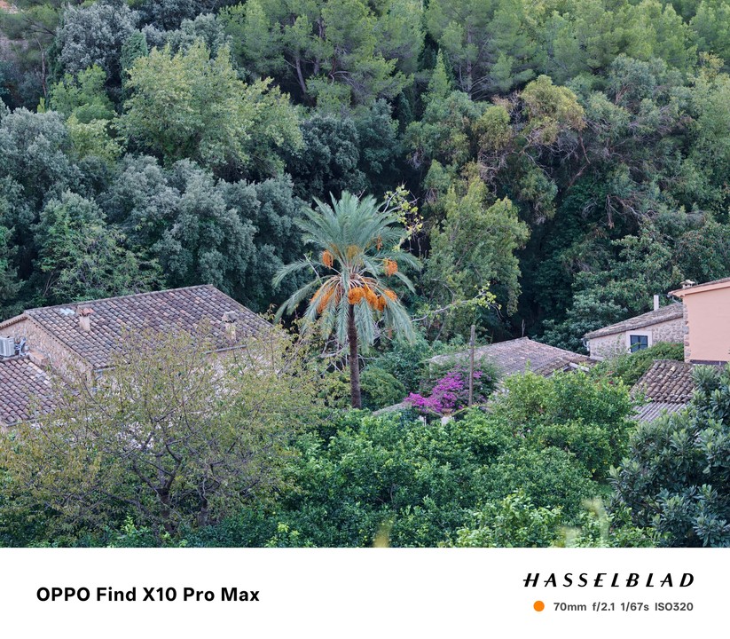 Oppo Find X10 Pro Max