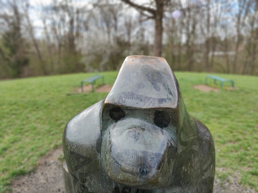 Realme GT 2 Pro - Originalaufnahmen 