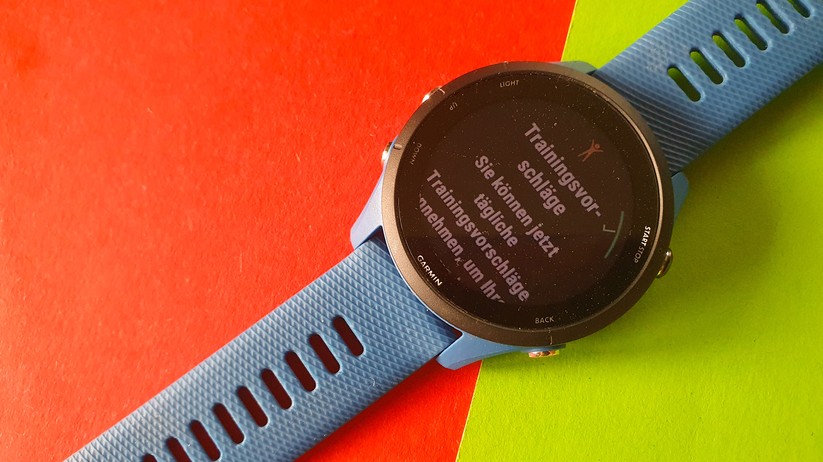 Garmin Forerunner 255
