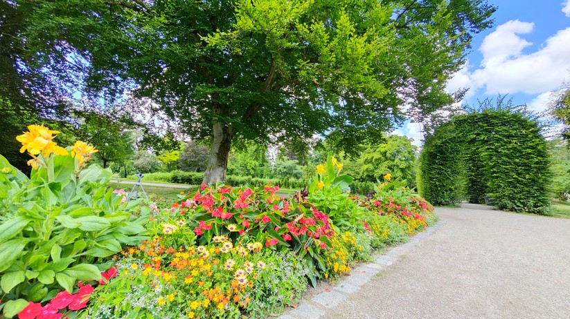 Redmagic 10 Air - Originalaufnahmen 