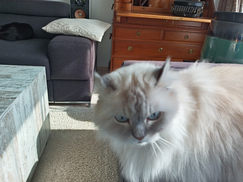 Oukitel WP56 - Originalaufnahmen 