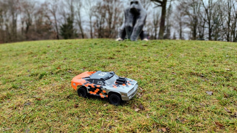 Reely Rat Max XL