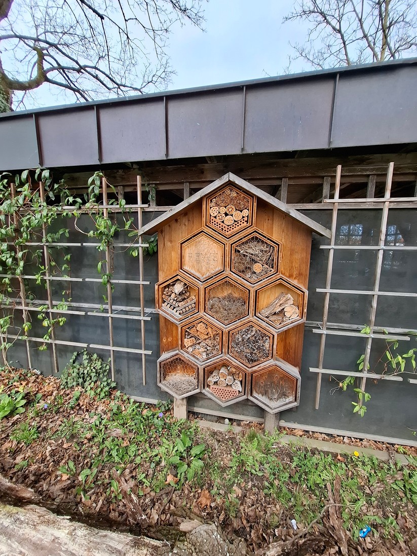 Samsung Galaxy A55 – Originalaufnahmen