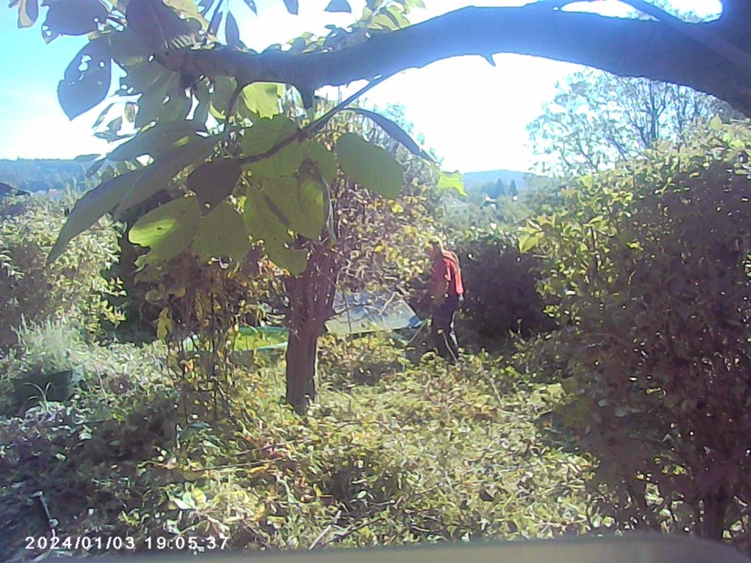 Hier hat die Person im Hintergrund den Bewegungsmelder PIR-Sensor ausgelöst. Vögel sind leider nur auf wenigen Aufnahmen zu sehen.