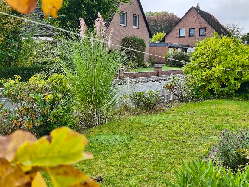 Motorola Razr 60 - Originalaufnahmen