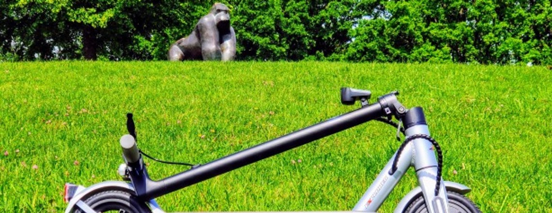 E-Scooter ESA 1919 für 300 Euro im Test: günstig & trotzdem gut