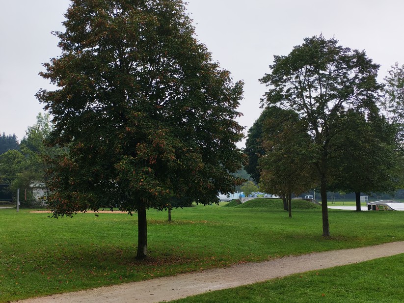 Honor 400 - Originalaufnahmen 