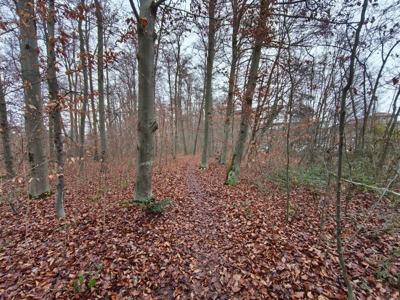 Xiaomi 15T - Originalaufnahmen