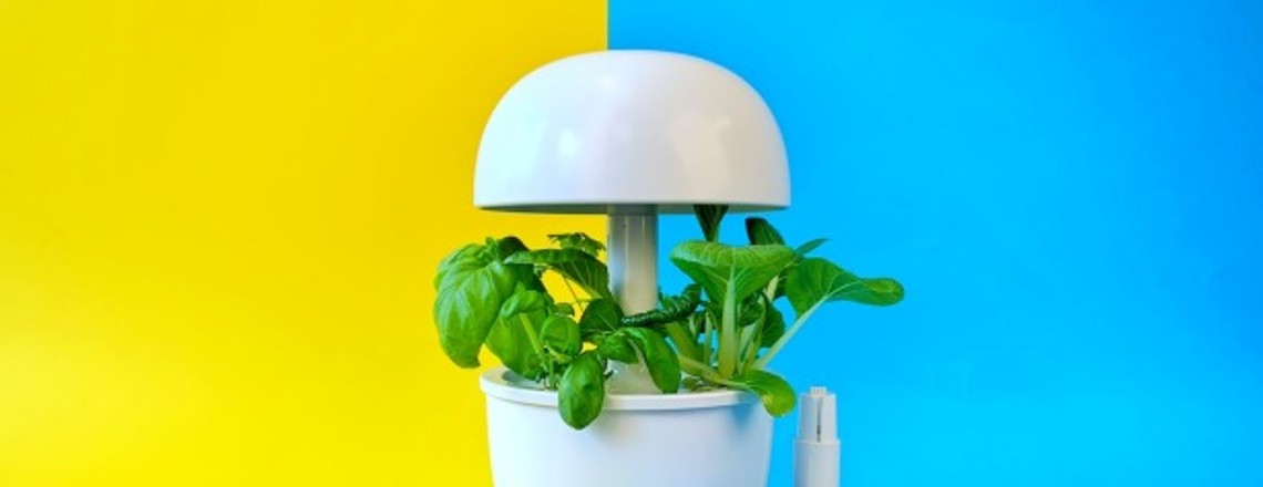 Bosch Smartgrow 3 im Test: Knackiges Gemüse für 150 Euro