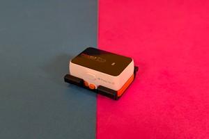 Pawfit 3 im Test: GPS-Tracker mit sprechendem Namensschild für Haustiere