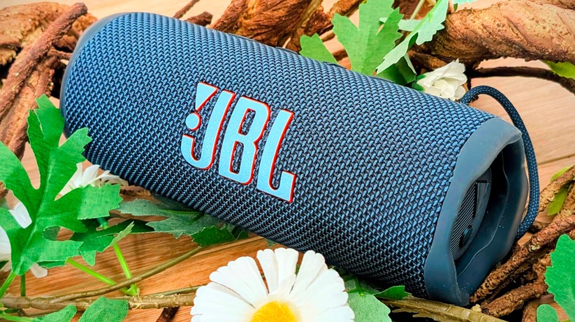 JBL Flip 6