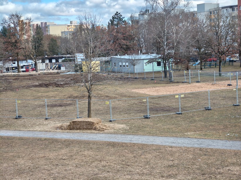 Motorola Signature - Originalaufnahmen