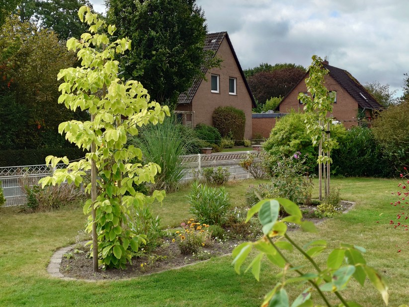 Sony Xperia 1 VII - Originalaufnahmen 