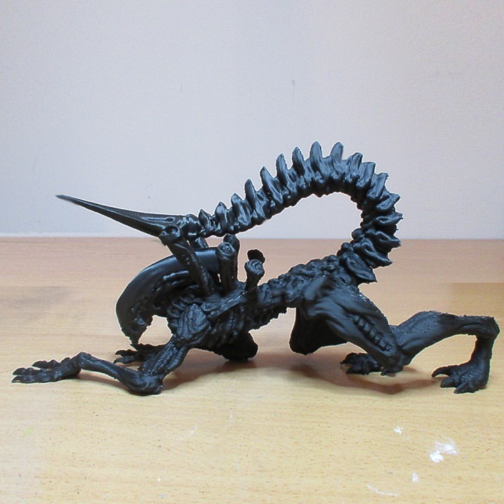 Alien - Xenomorph