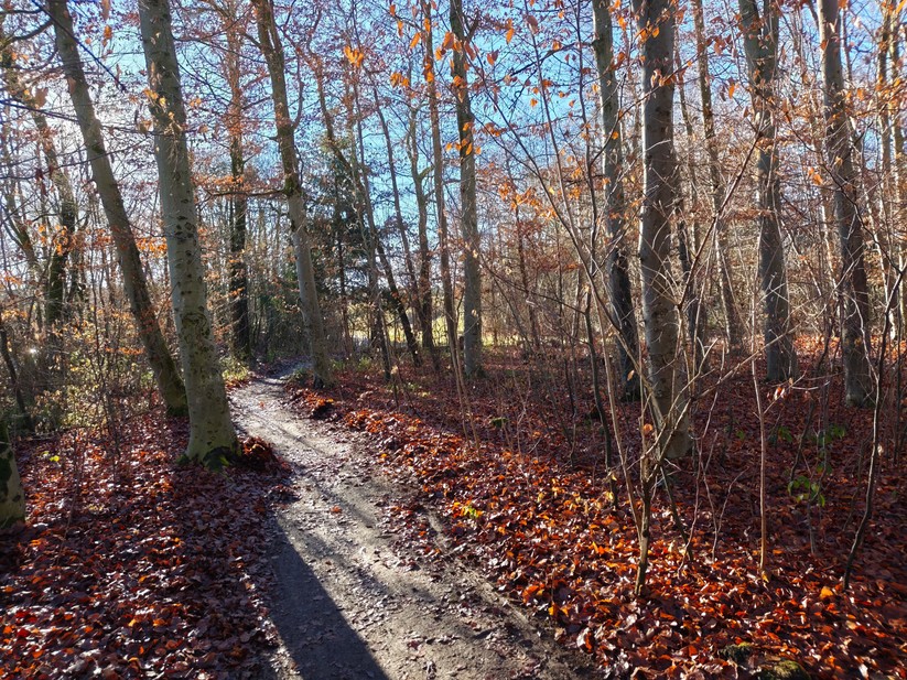 Poco F8 Pro - Originalaufnahmen 