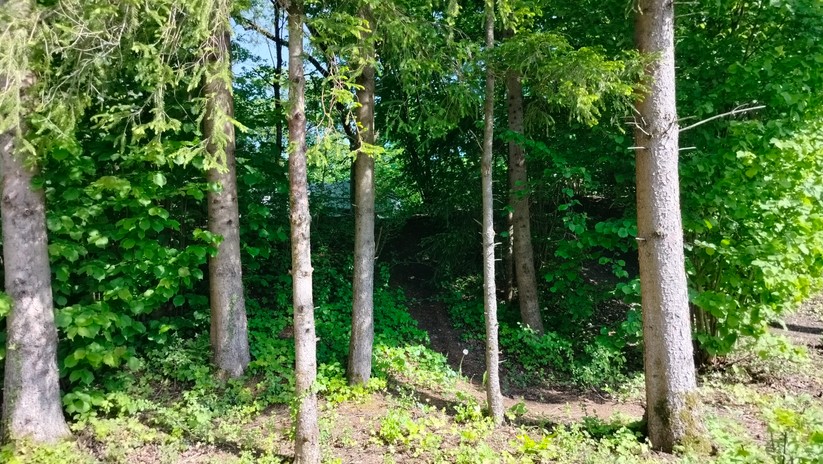 Realme 9 - Originalaufnahmen 