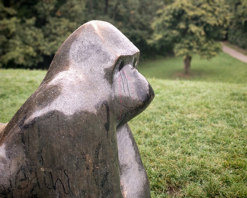 Honor 400 - Originalaufnahmen