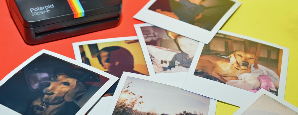 Sofortbildkameras