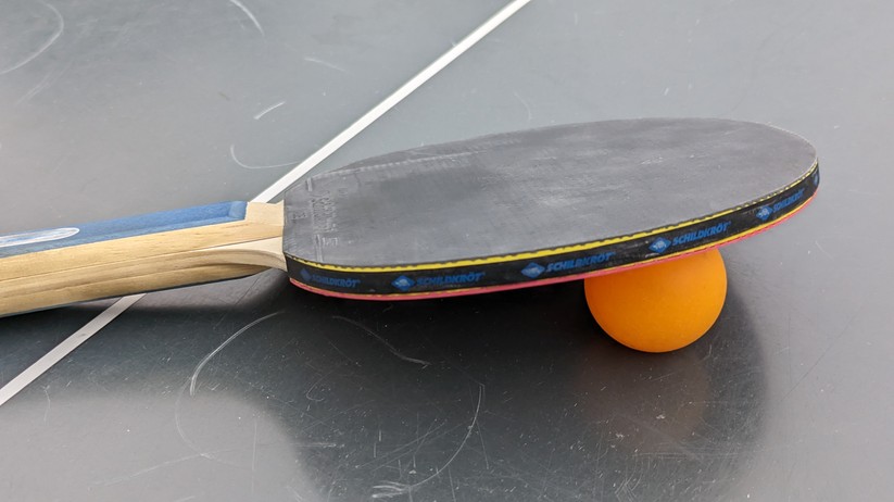 Google Pixel 7 Fotos