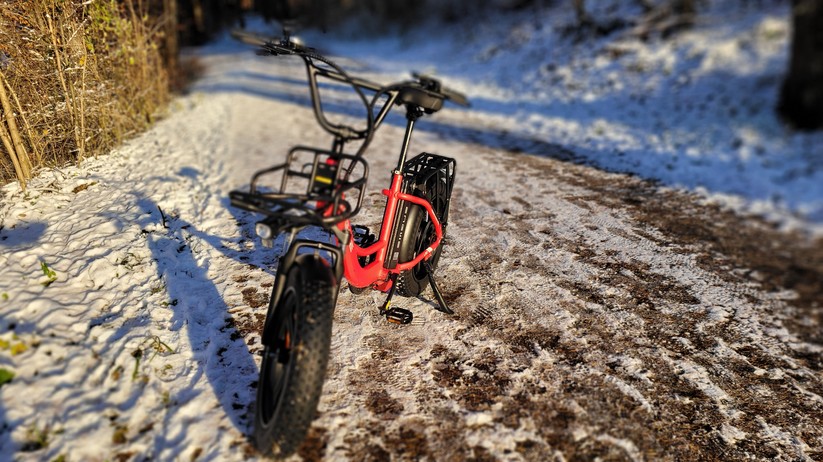  E-Bike mit Tiefeinstieg und Fat Tyres