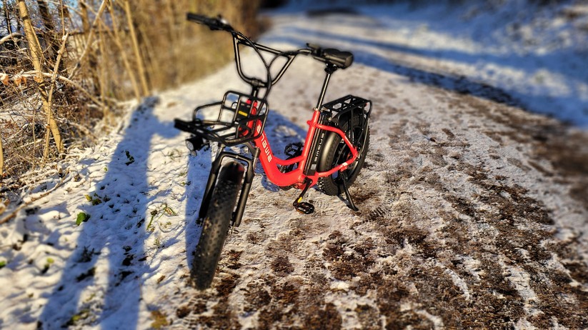  E-Bike mit Tiefeinstieg und Fat Tyres