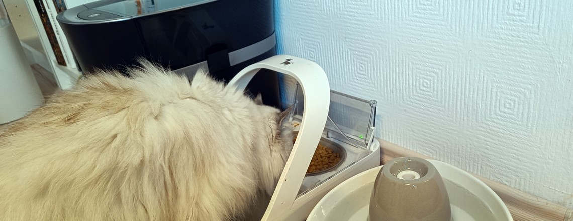 Katzen-Gadgets