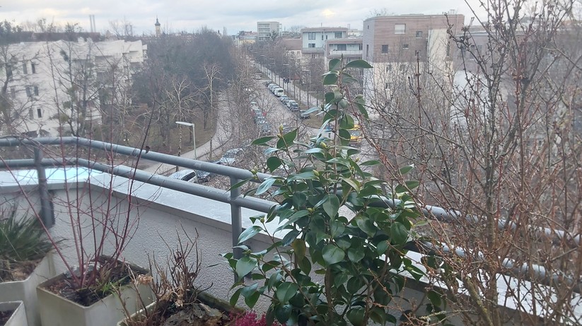 Samsung Galaxy Tab S7 FE